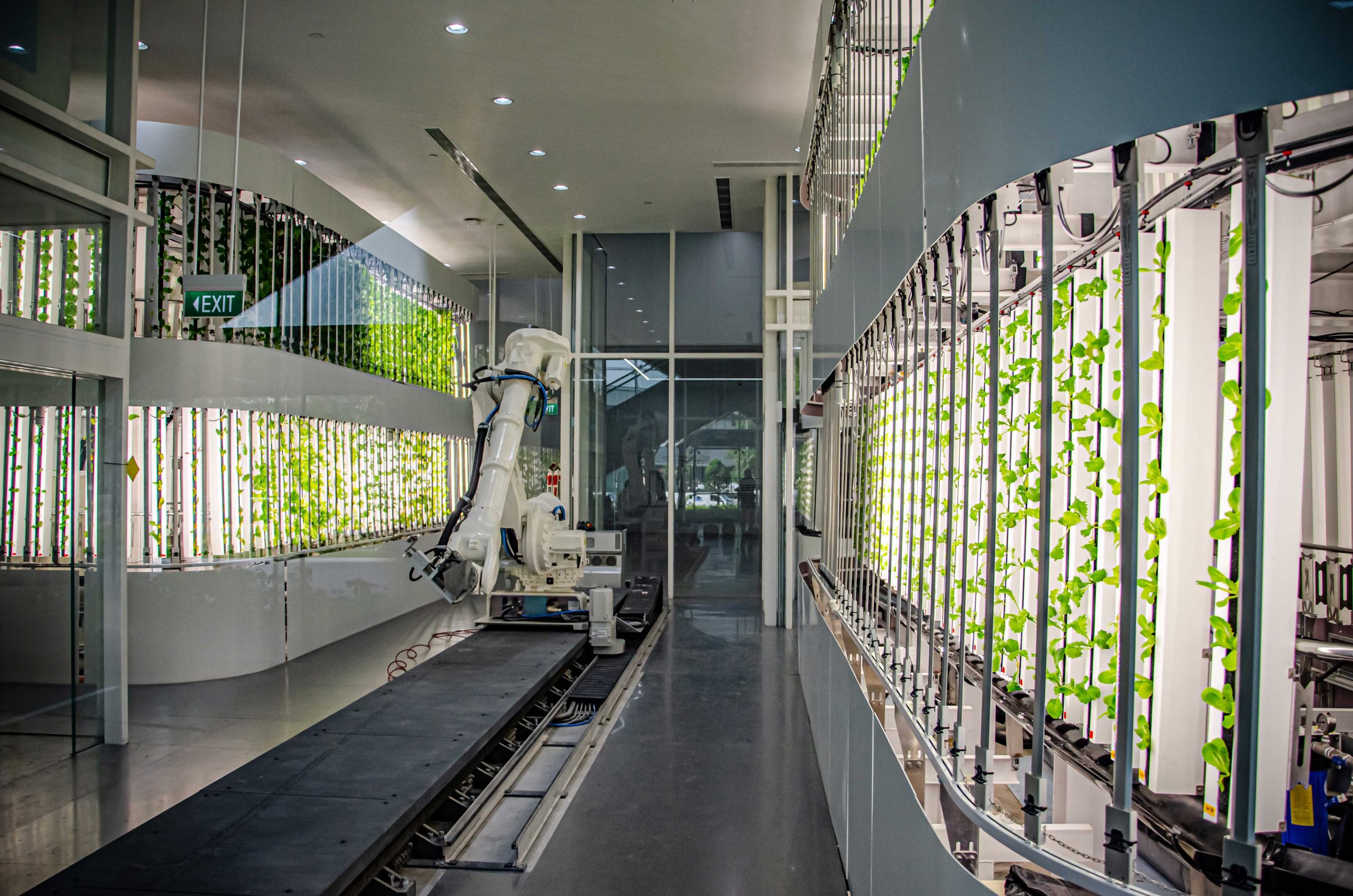 Indoor Farming Automation